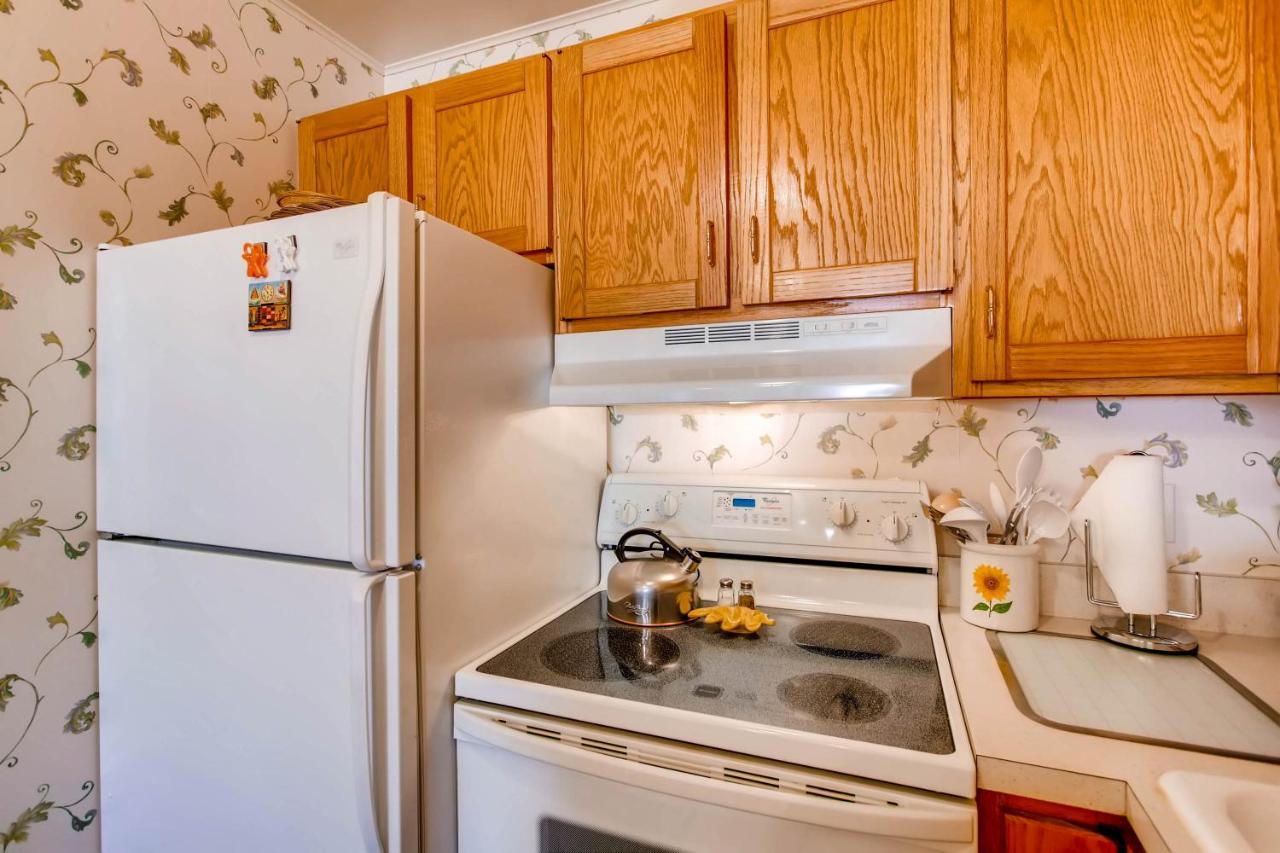 Ski-In Ski-Out Studio Private Balcony & Fireplace Condo Crested Butte Bagian luar foto